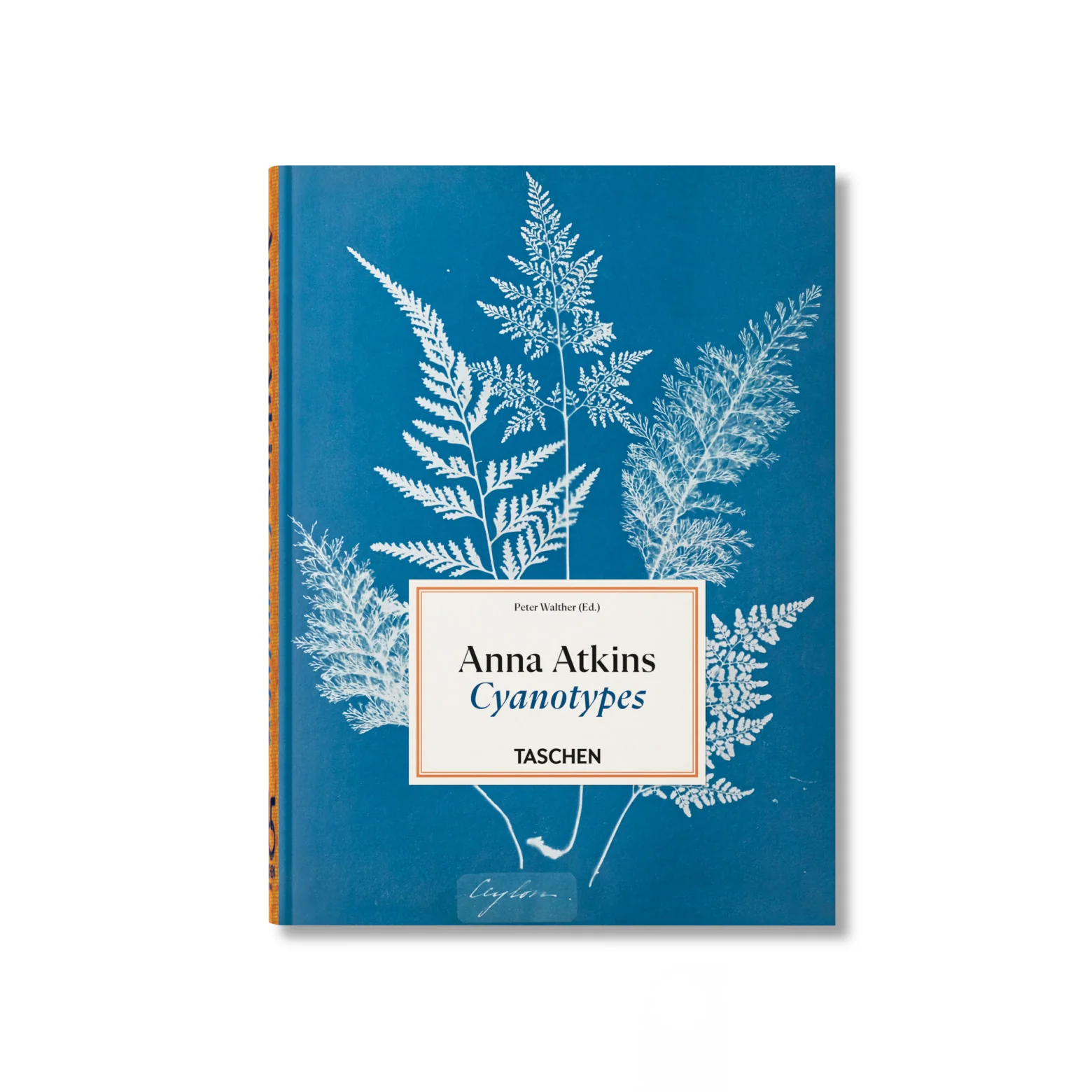 Anna Atkins – Cyanotypes