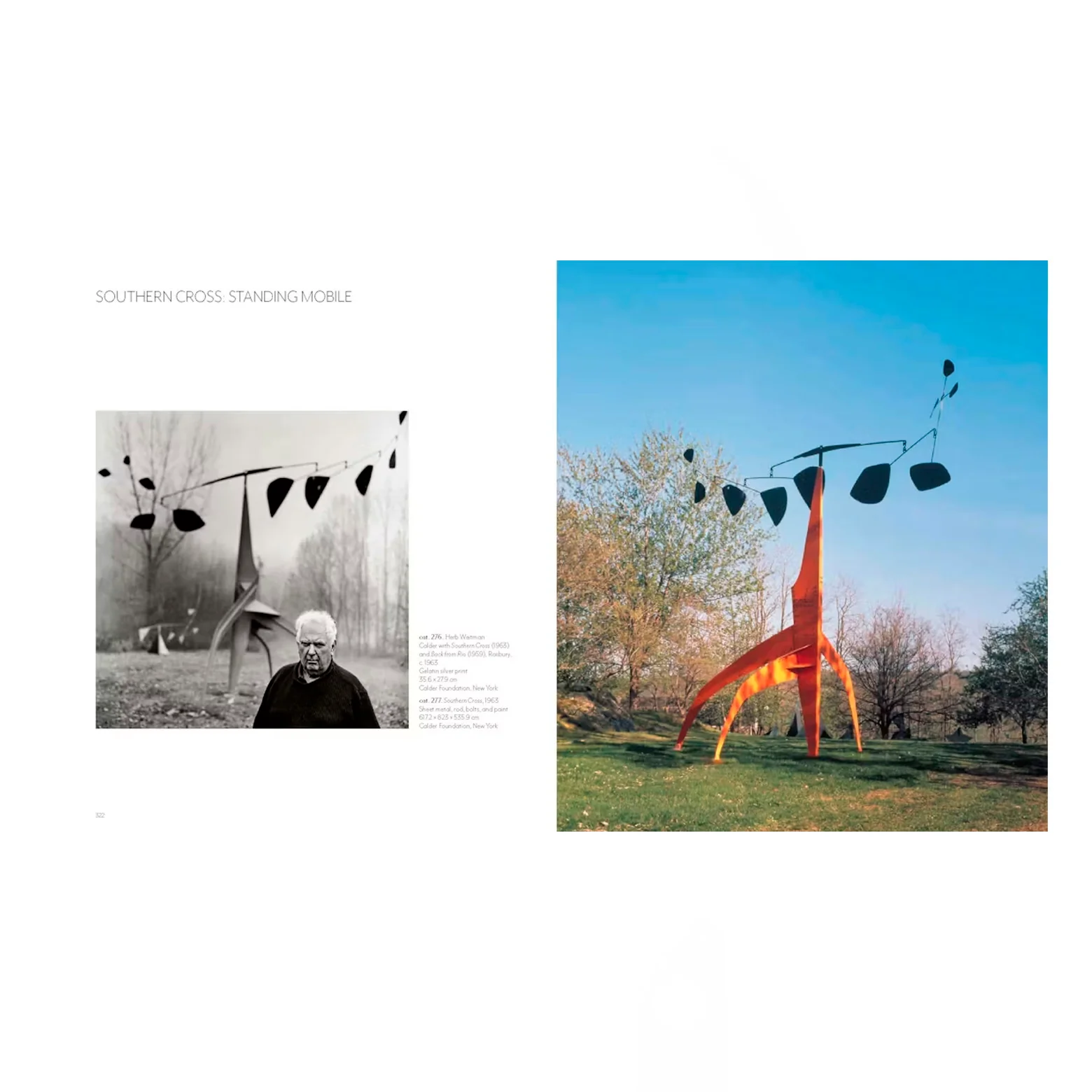 Calder - Dreaming in Equilibrium - Image 3