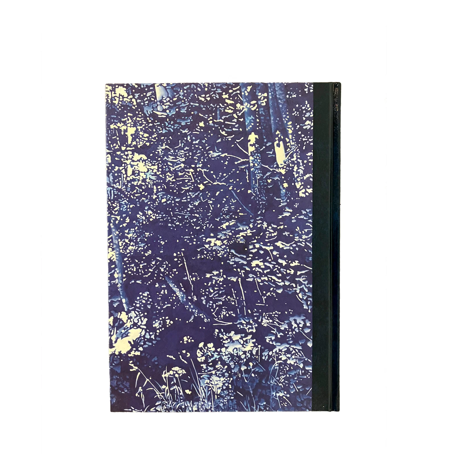 Katalog – Franz Gertsch (engelsk) - Image 2