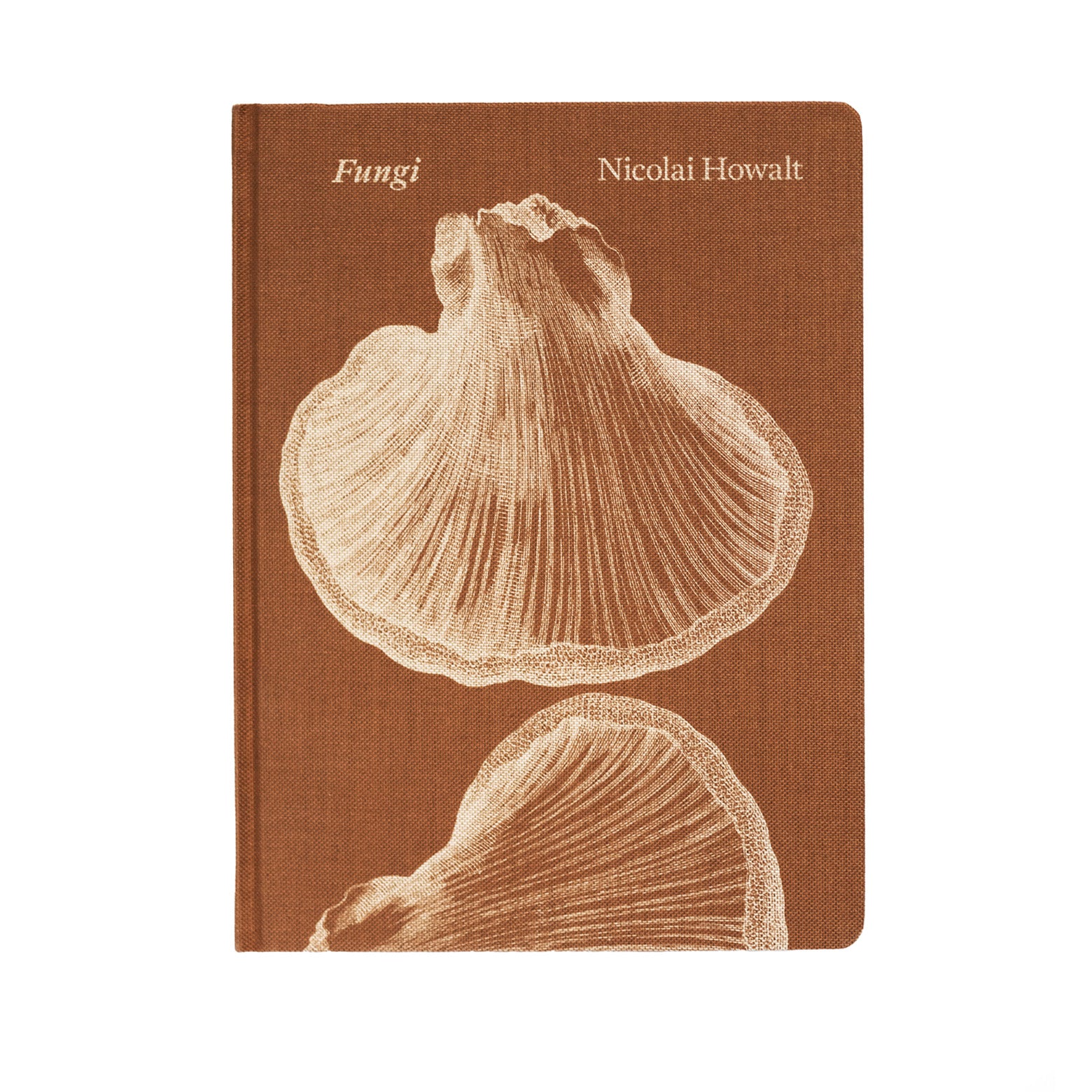 Fungi