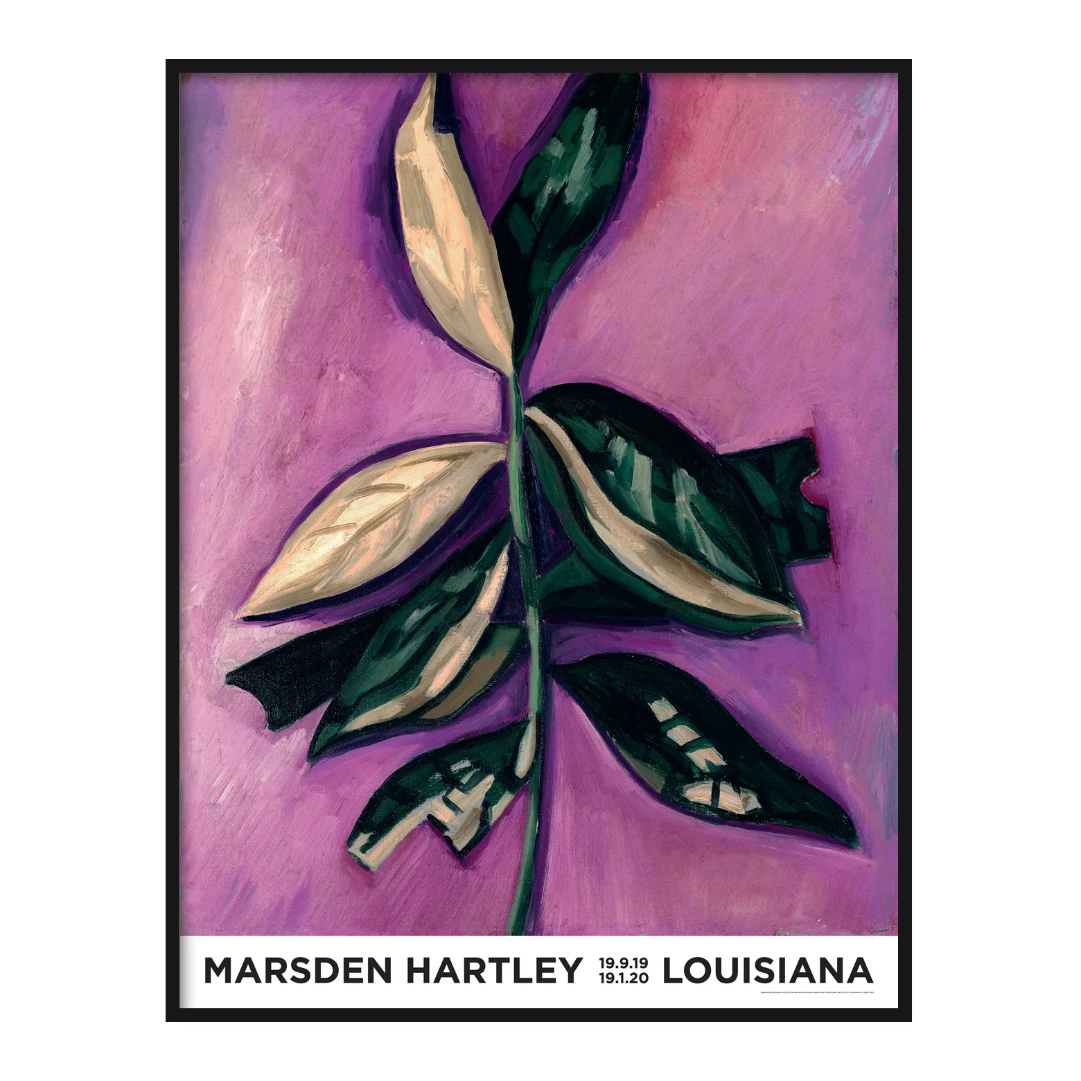 Marsden Hartley – Leaves (1929) - Image 2