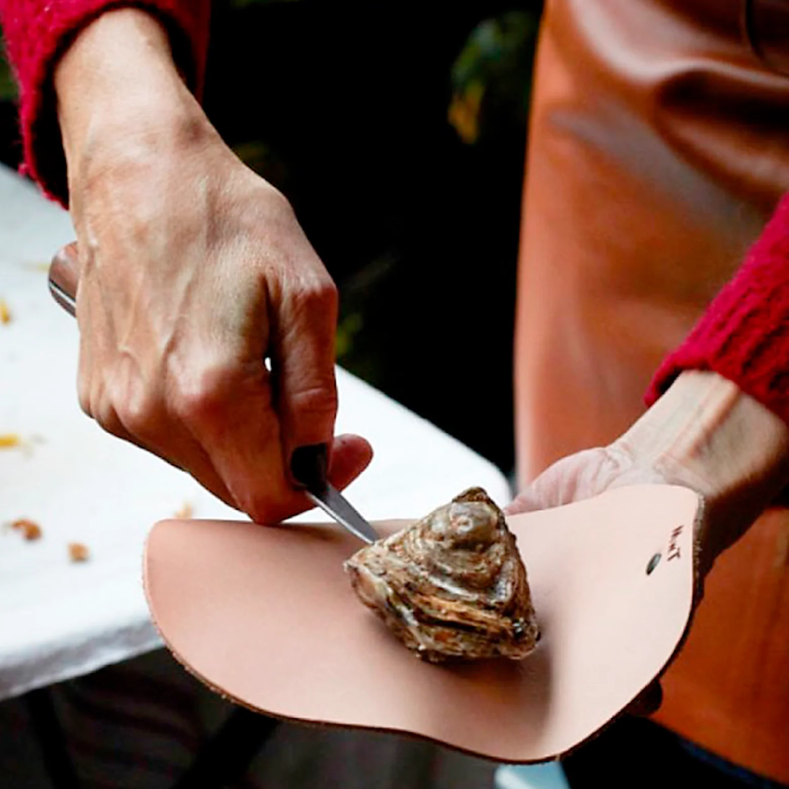 Oyster box set - Image 2