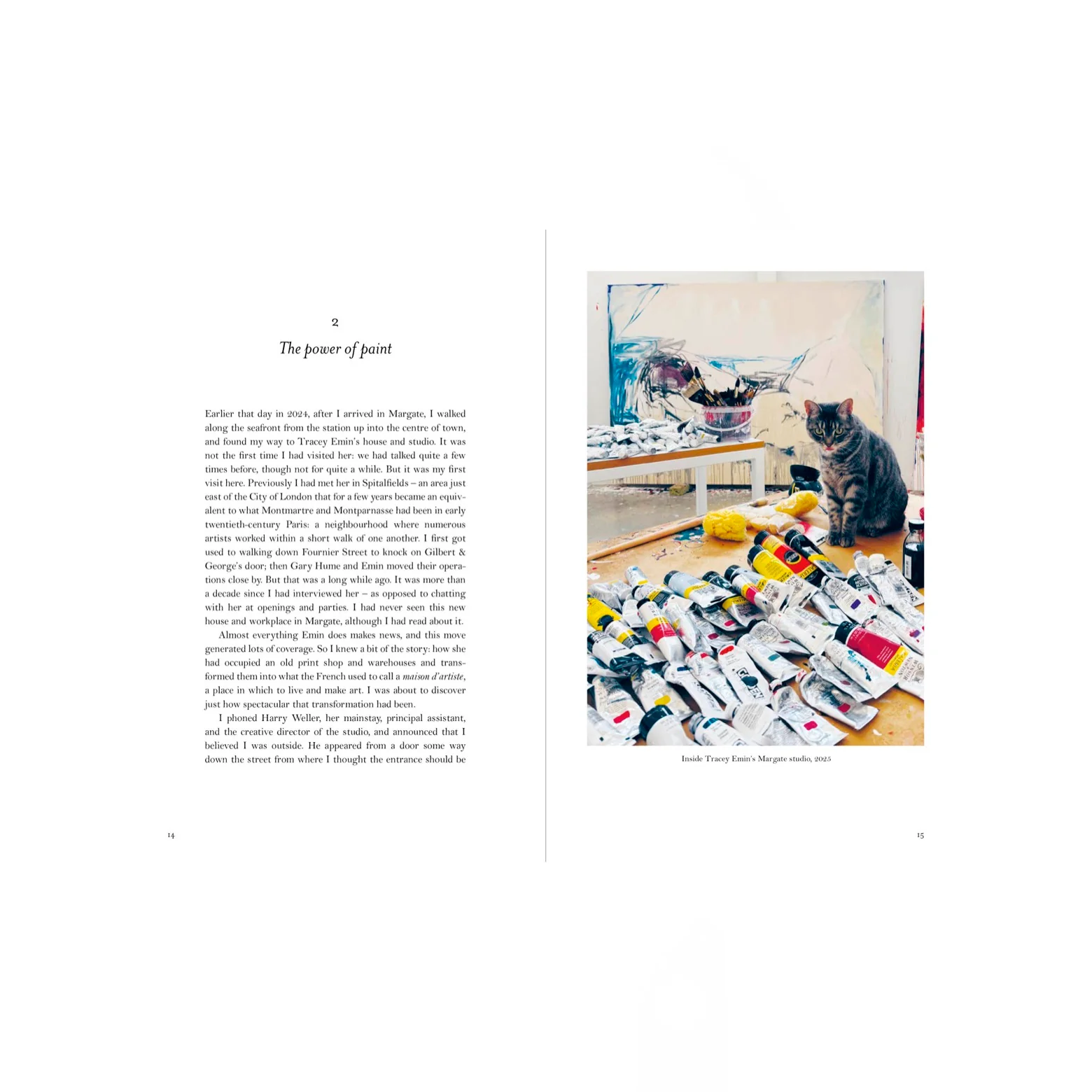 My Heart is This - Tracey Emin on Painting - Image 3