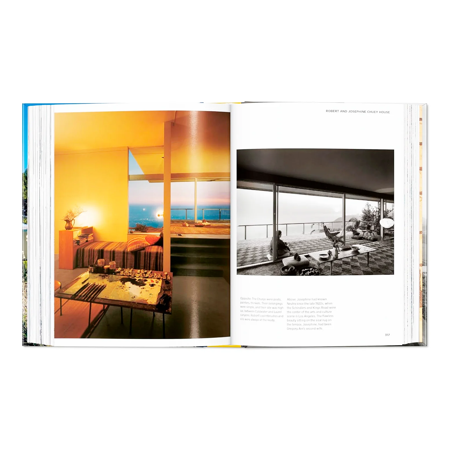 Neutra - 45th Edition - Image 3