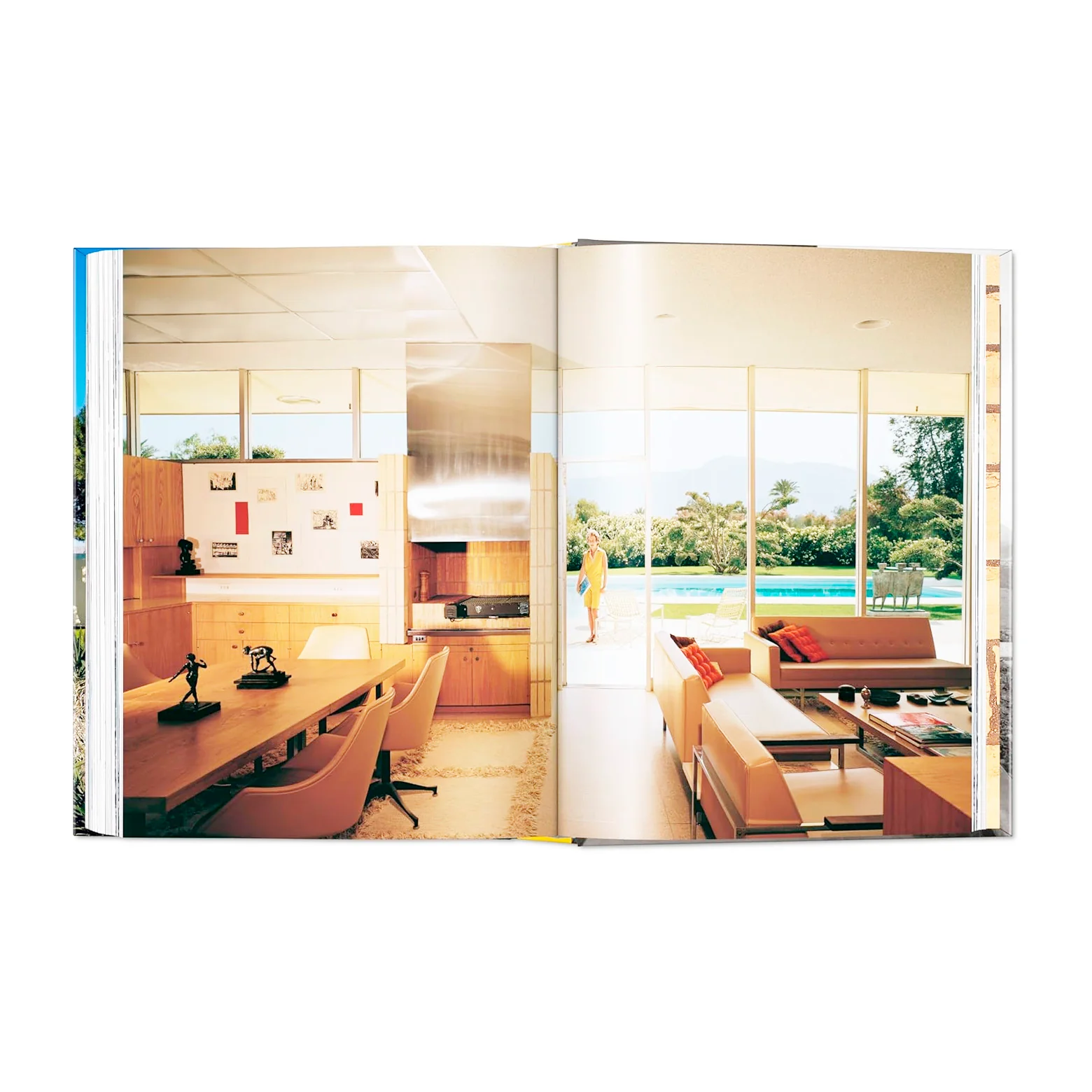 Neutra - 45th Edition - Image 4