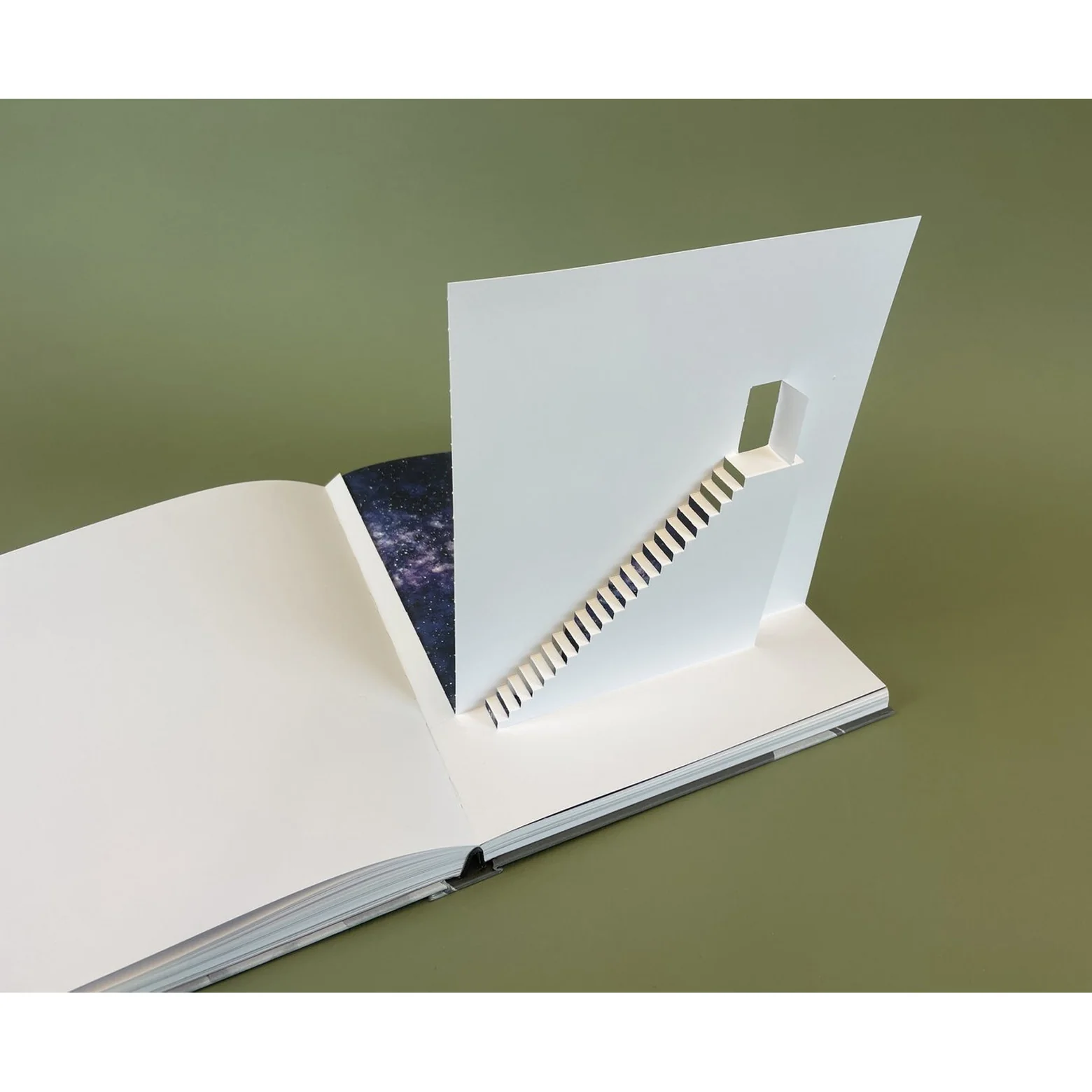 Skin of Paper - Image 5