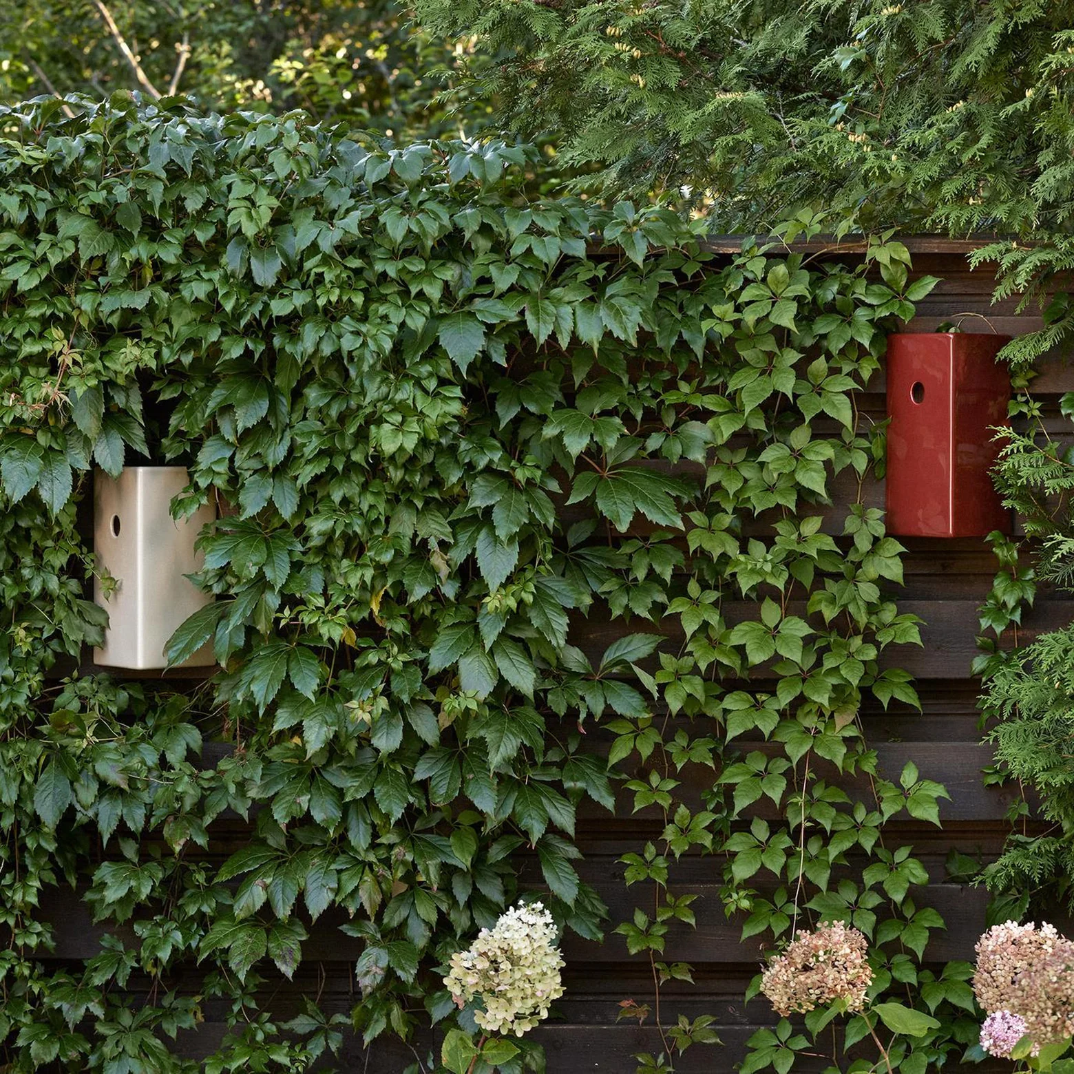 Fuglehus – KOTI - Image 2