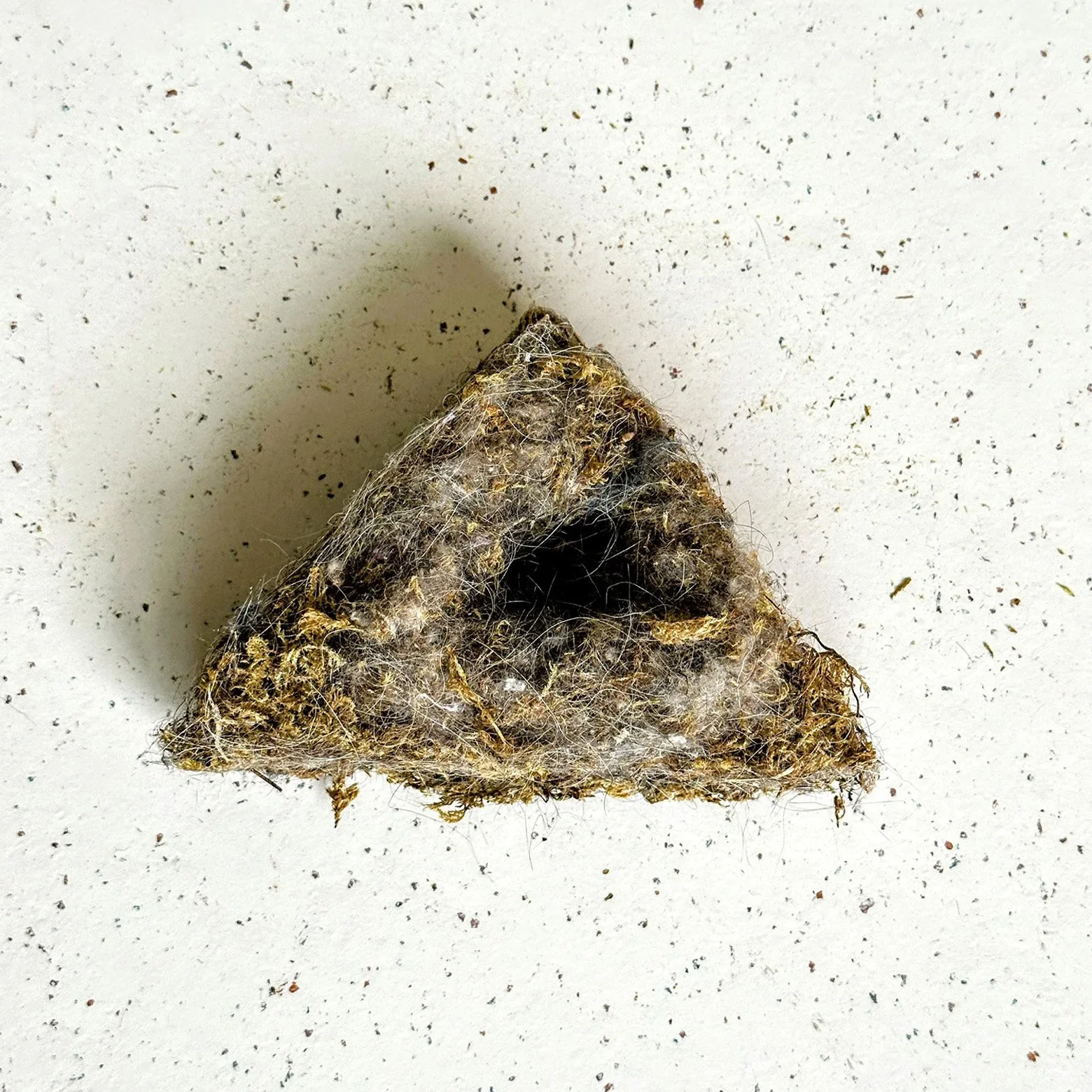Fuglehus – KOTI - Image 6
