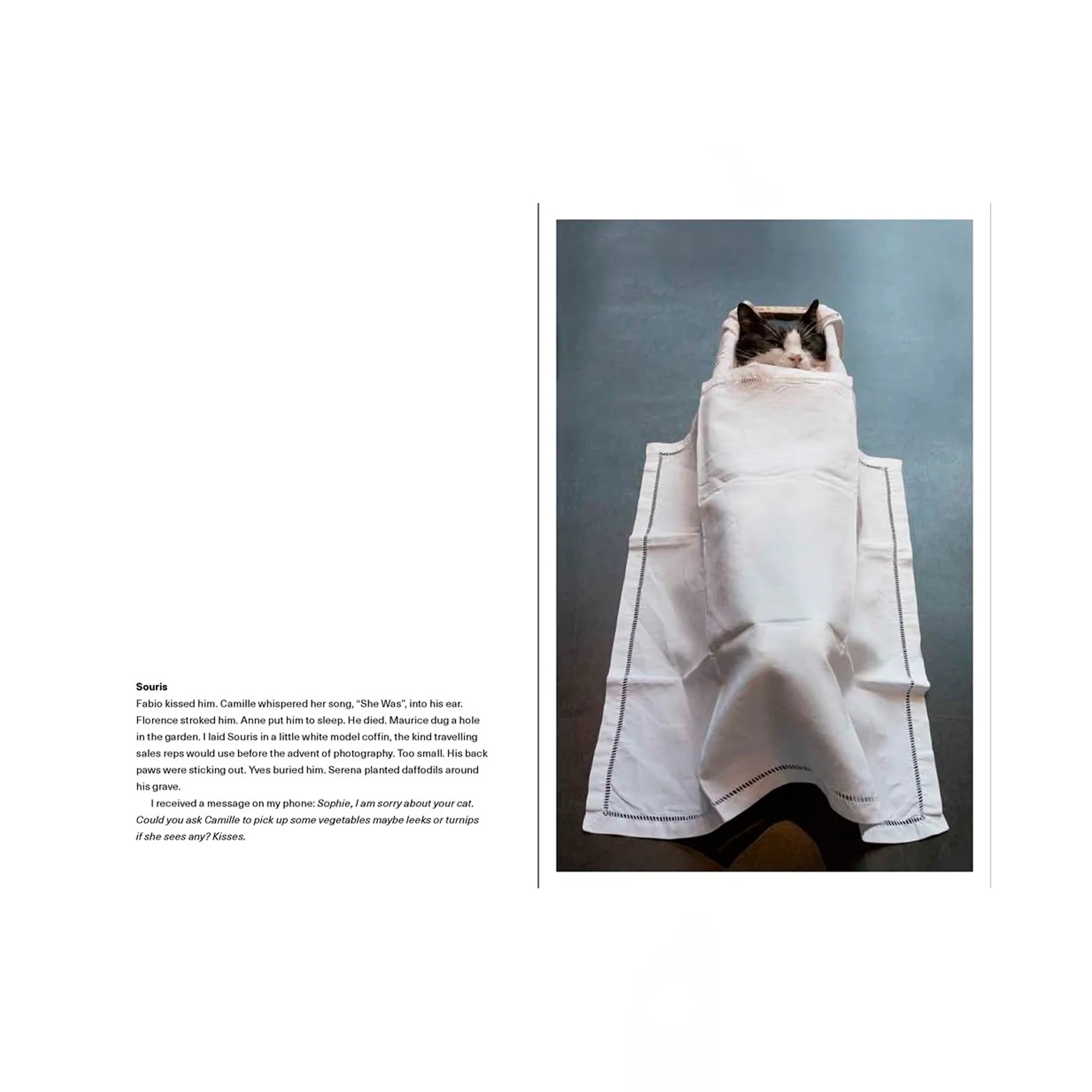 Sophie Calle - Image 2