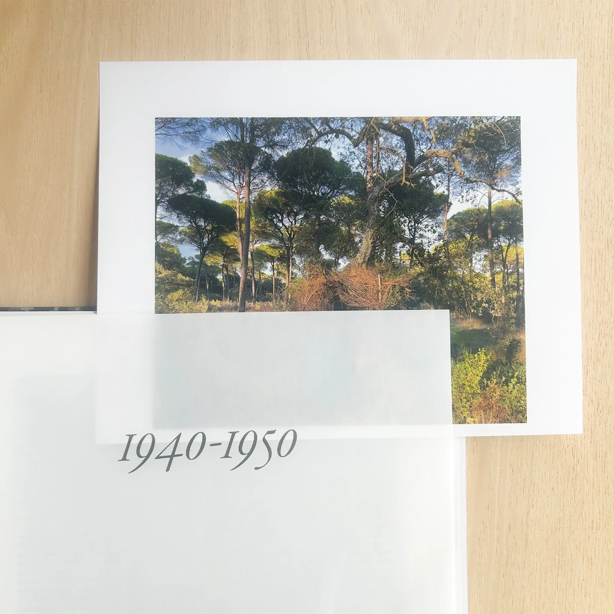 Sophie Calle – On the hunt - Image 2