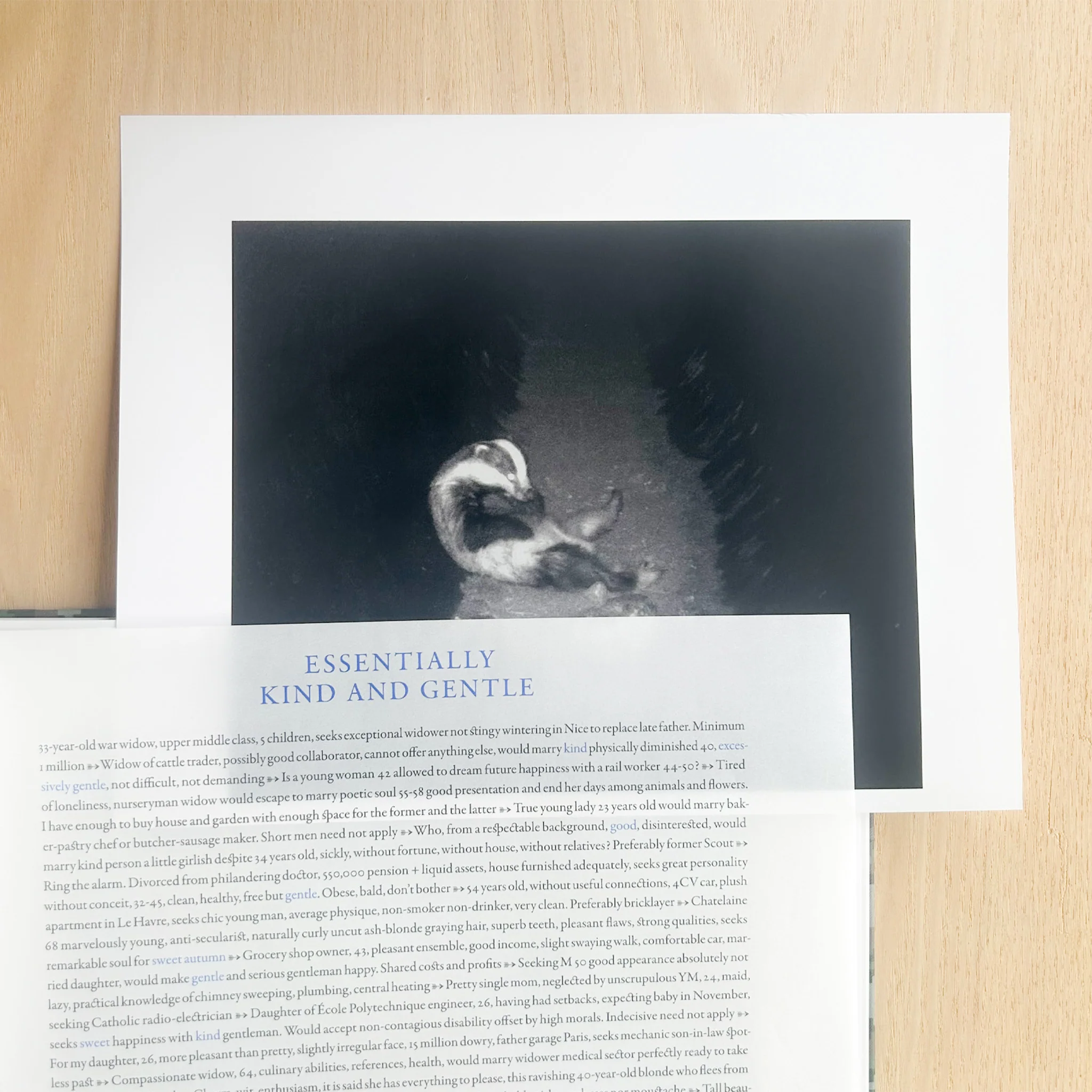 Sophie Calle – On the hunt - Image 3