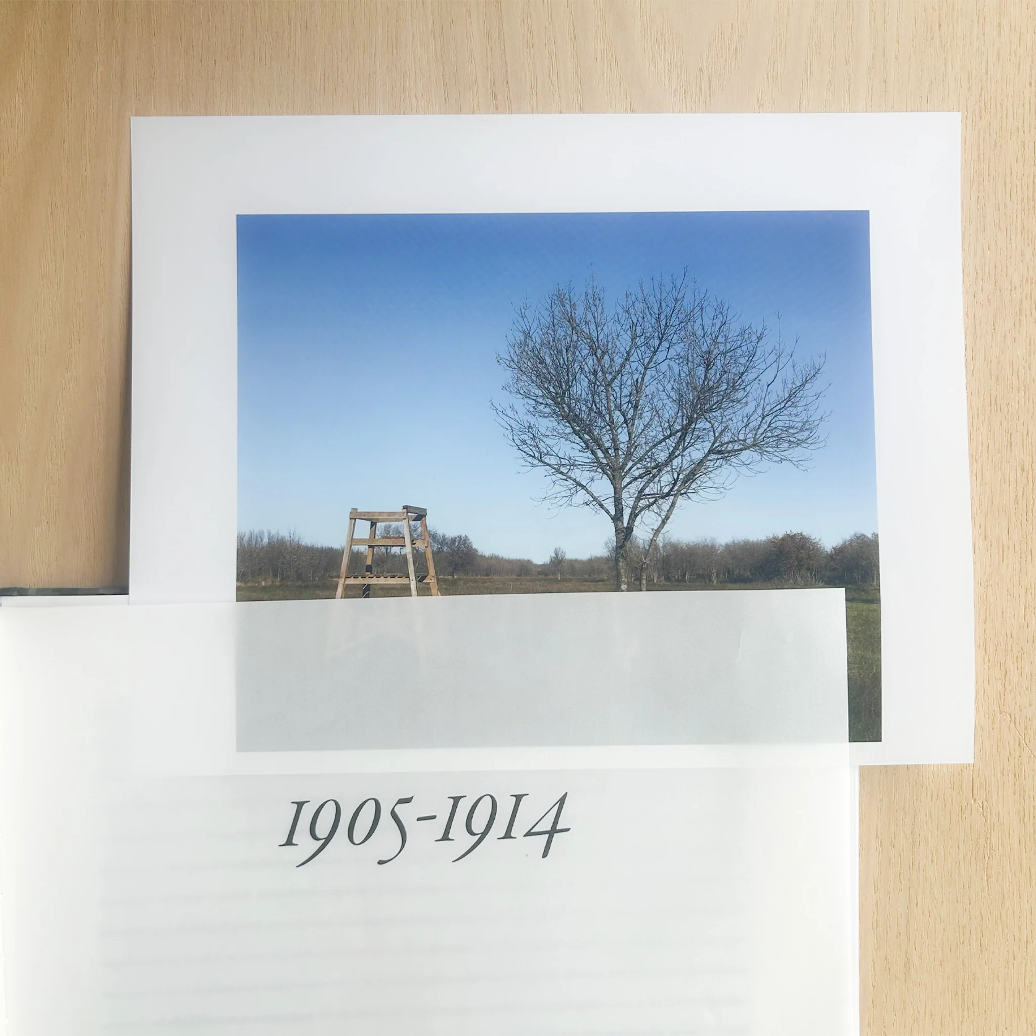 Sophie Calle – On the hunt - Image 4
