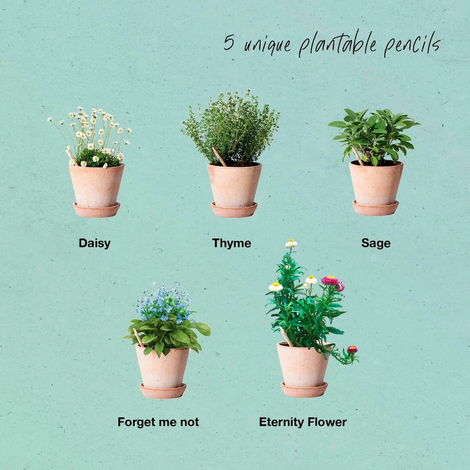 Plantbar blyant – sæt af fem - Image 4