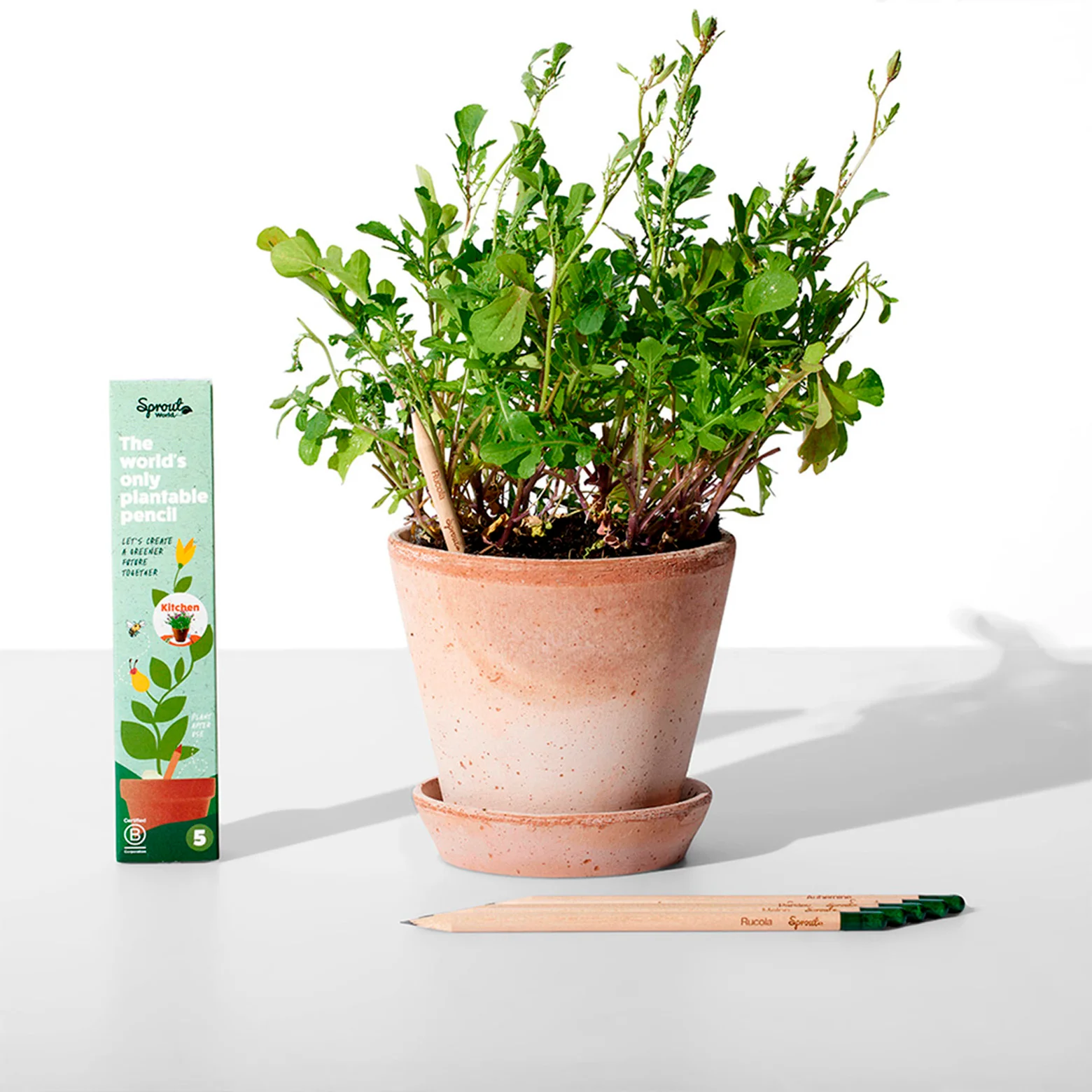 Plantbar blyant – sæt af fem - Image 8