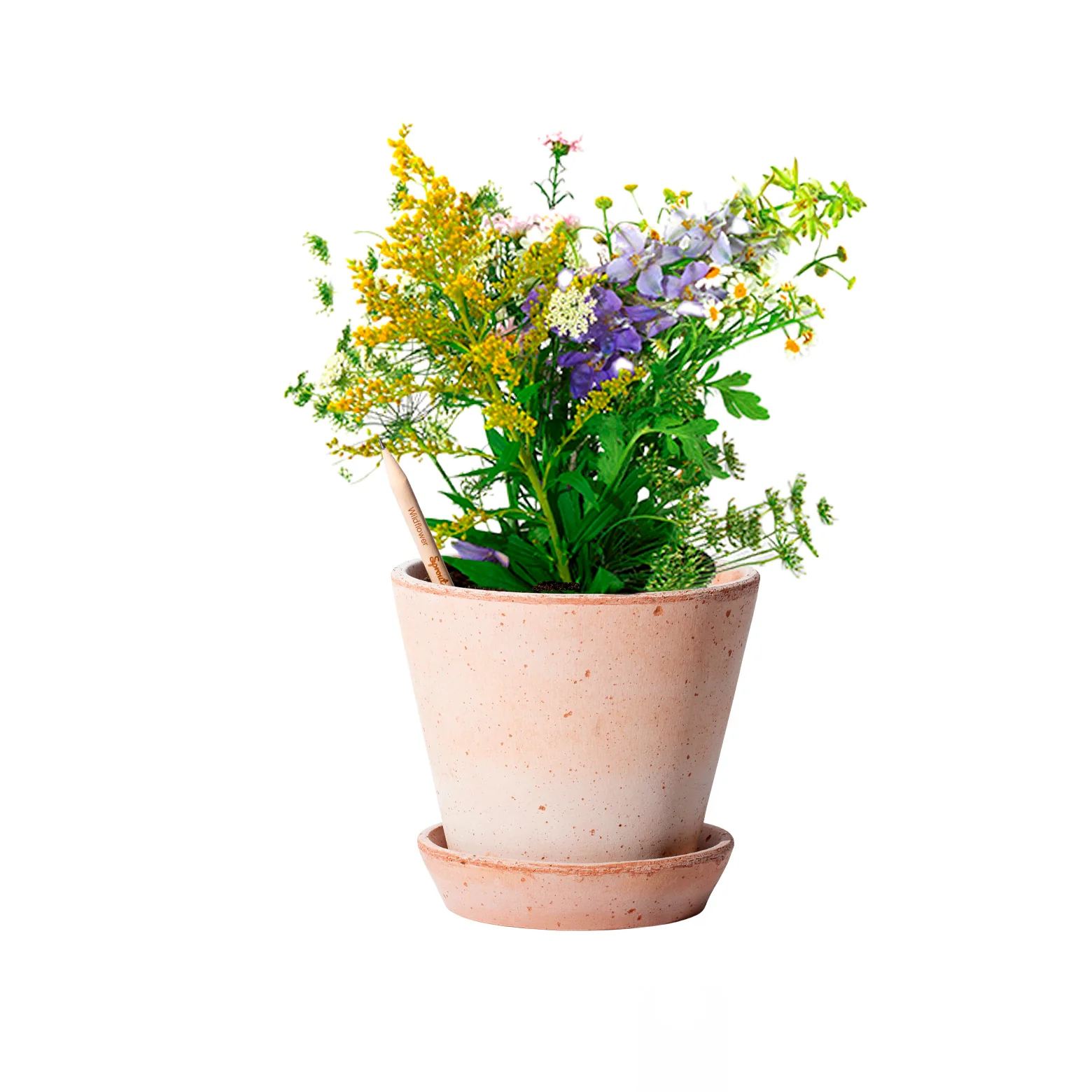 Plantbar blyant – sæt af 3 - Image 6