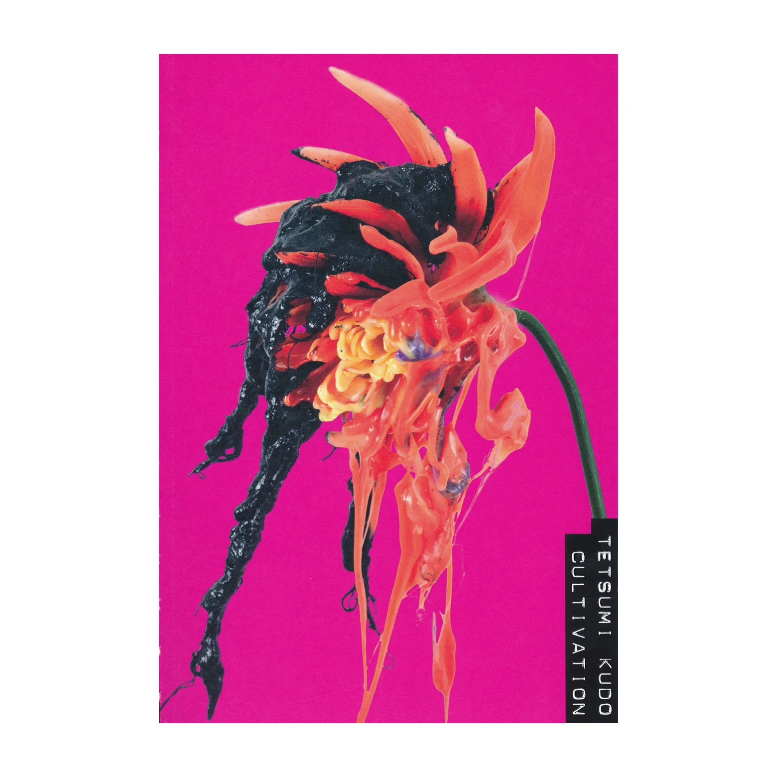 Tetsumi Kudo katalog (English)
