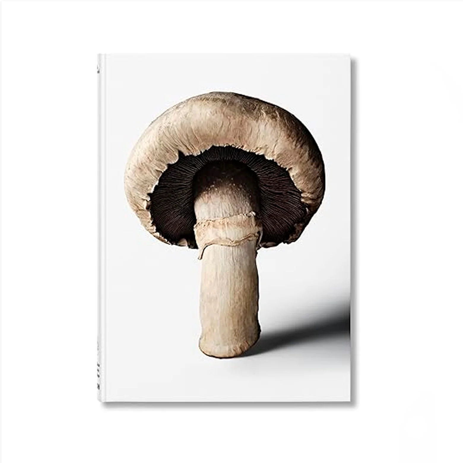 The Gourmand's Mushroom - A Collection of Stories and Recipes