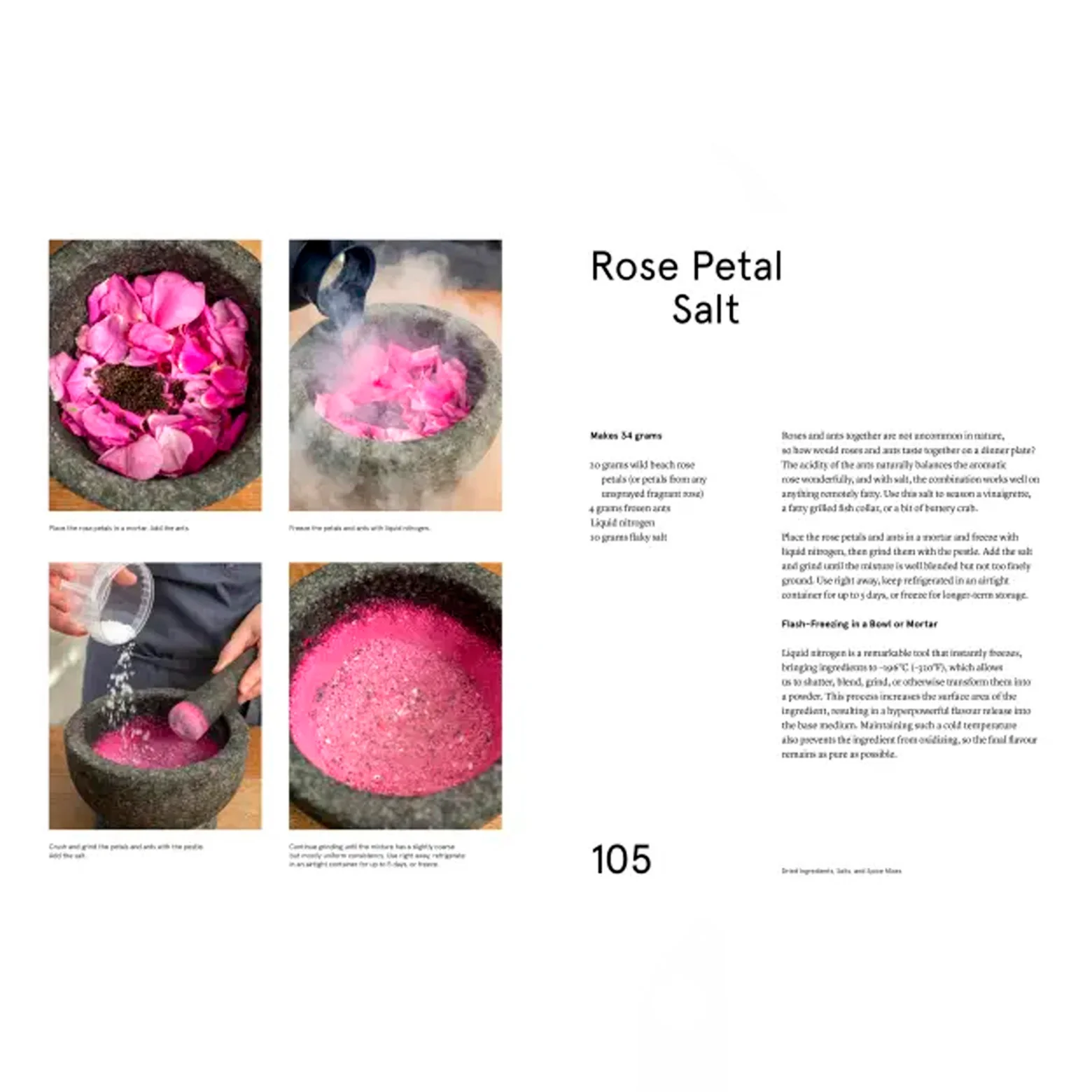 The Noma Guide to Building Flavour - Image 4